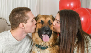 owners kissing dog