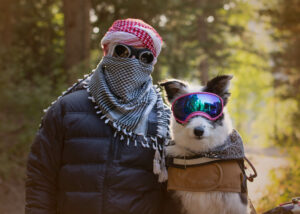 border collie in goggles