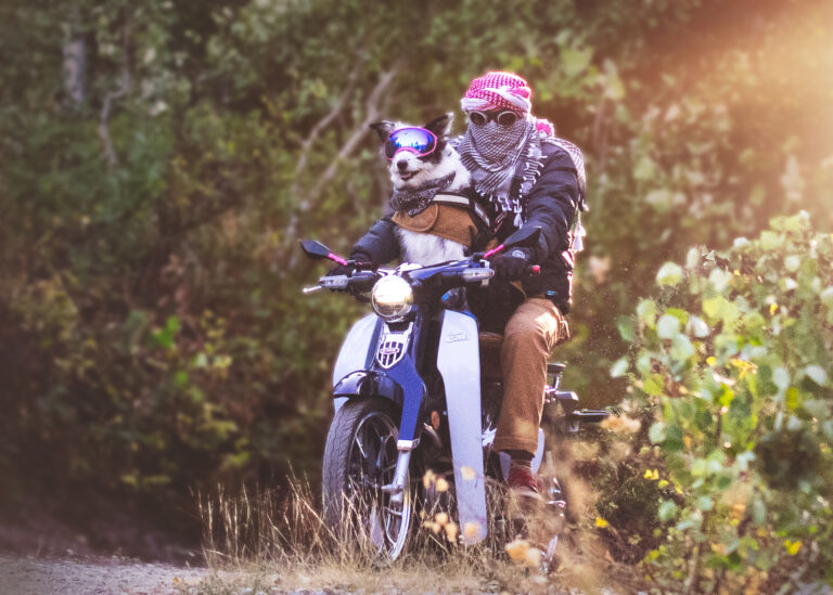 man and dog on scooter motorcylcle